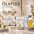 Olaplex Vibrant Shine Healthy Hair Kit – Hair Care Set